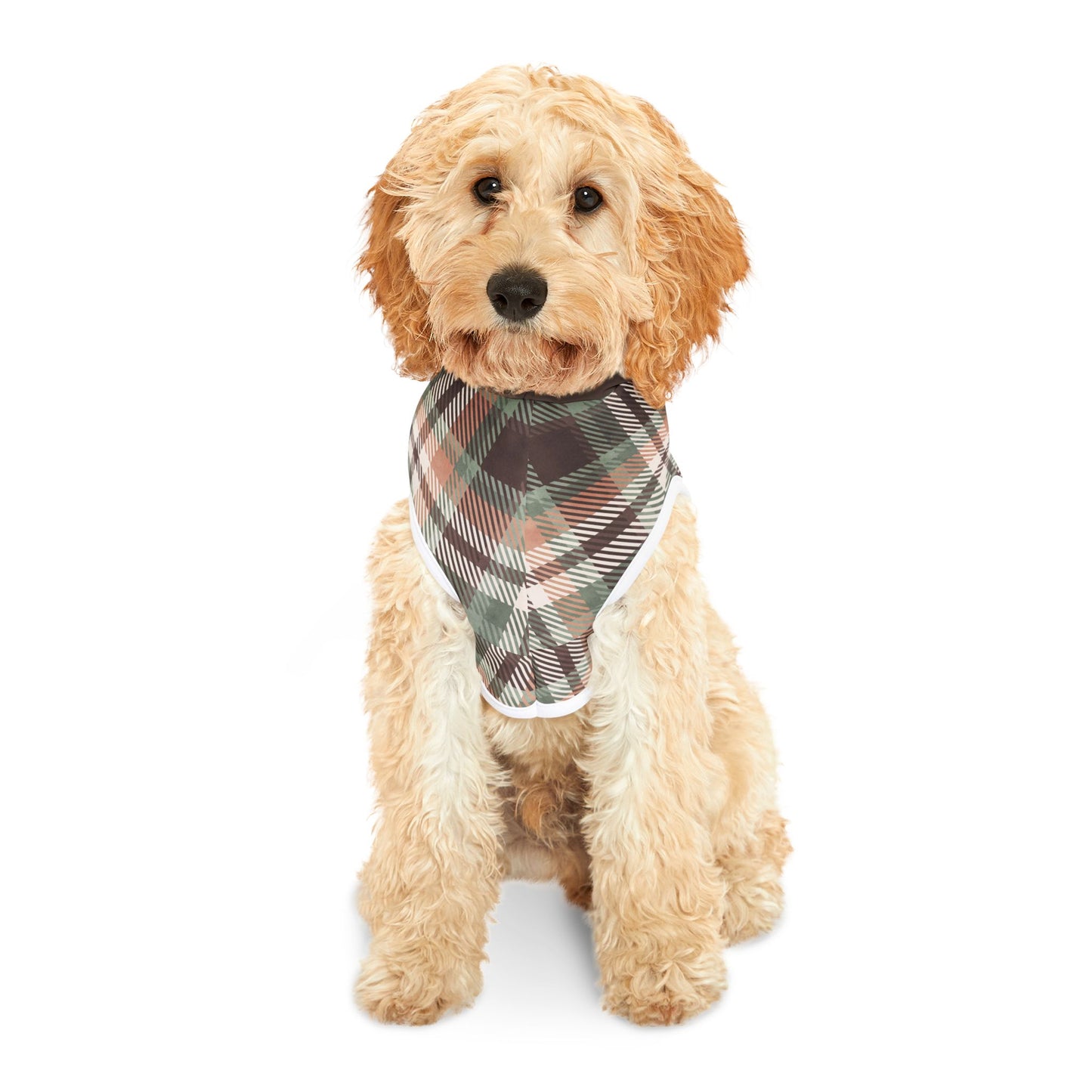 Sassy Pet's I Like Big Bones Pet Hoodie - Stylish Warmth for Fashionable Pets