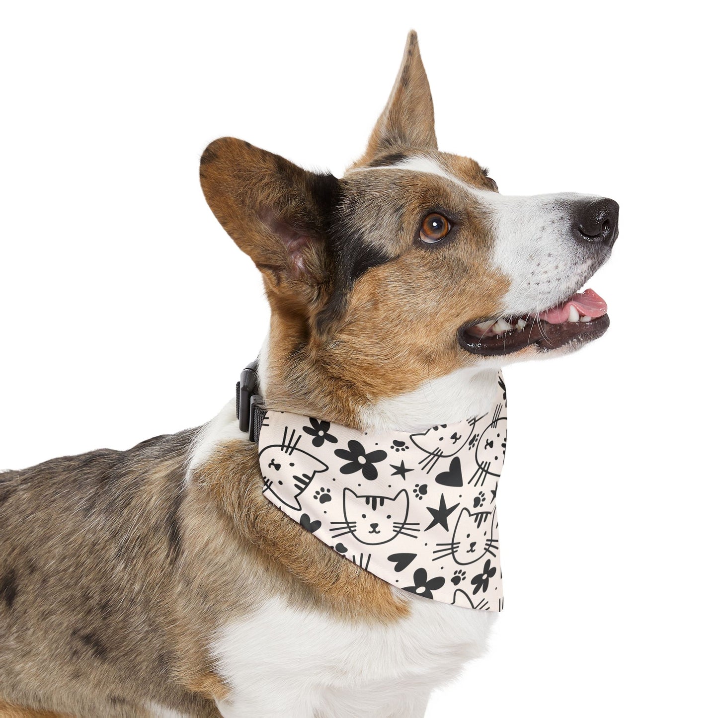 Sassy Pet's Bandana Collar - Here Kitty Kitty