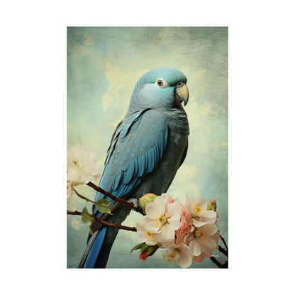 Blue Quaker Parrot Premium Matte Vertical Posters