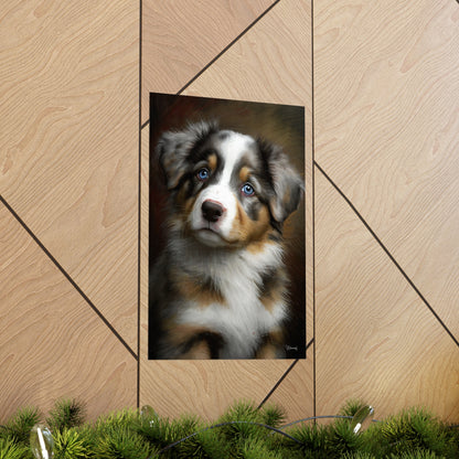 Australian Shepherd Puppy Premium Matte Vertical Posters