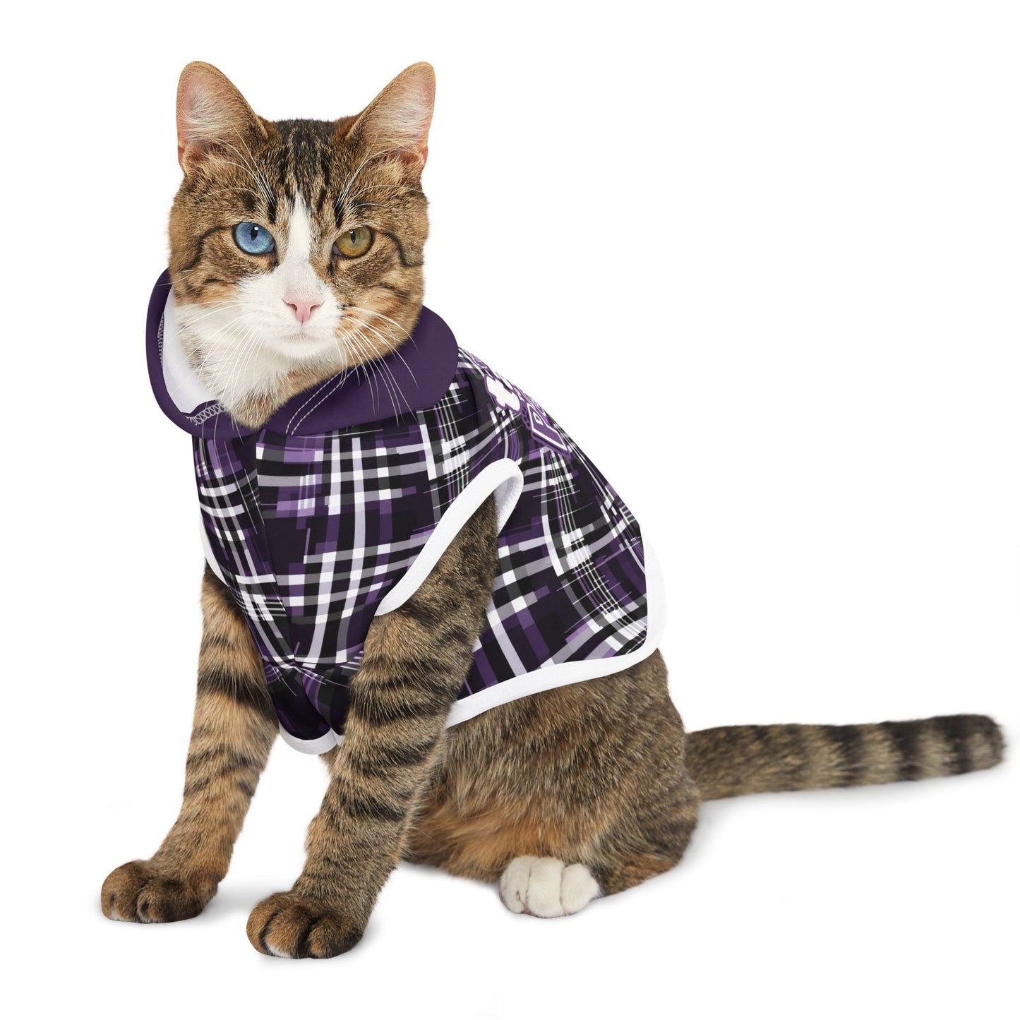 Sassy Pet's Talk to the Paw Pet Hoodie - Stylish Warmth for Fashionable Pets