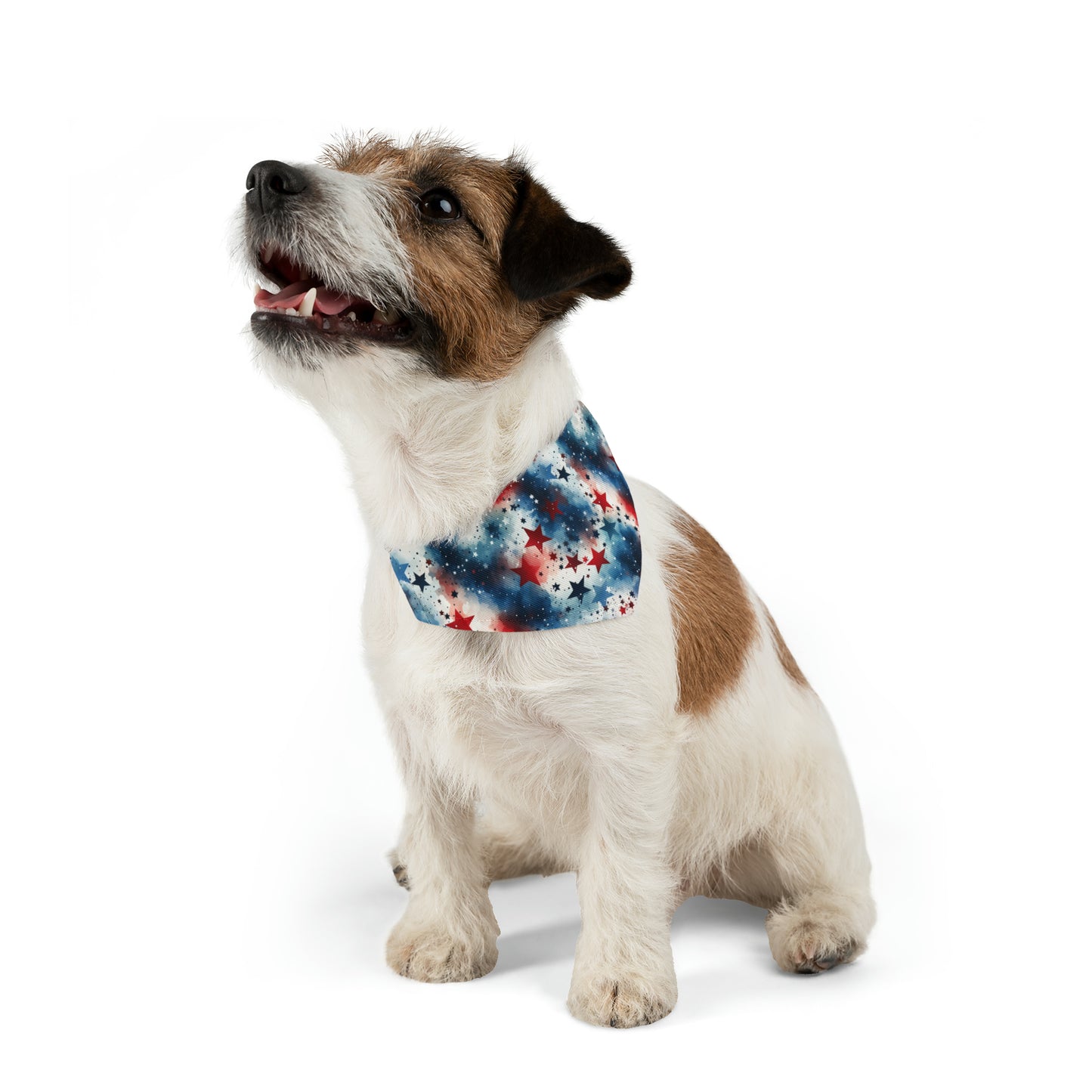 Sassy Pet's Patriotic Pup Pet Bandana Collar