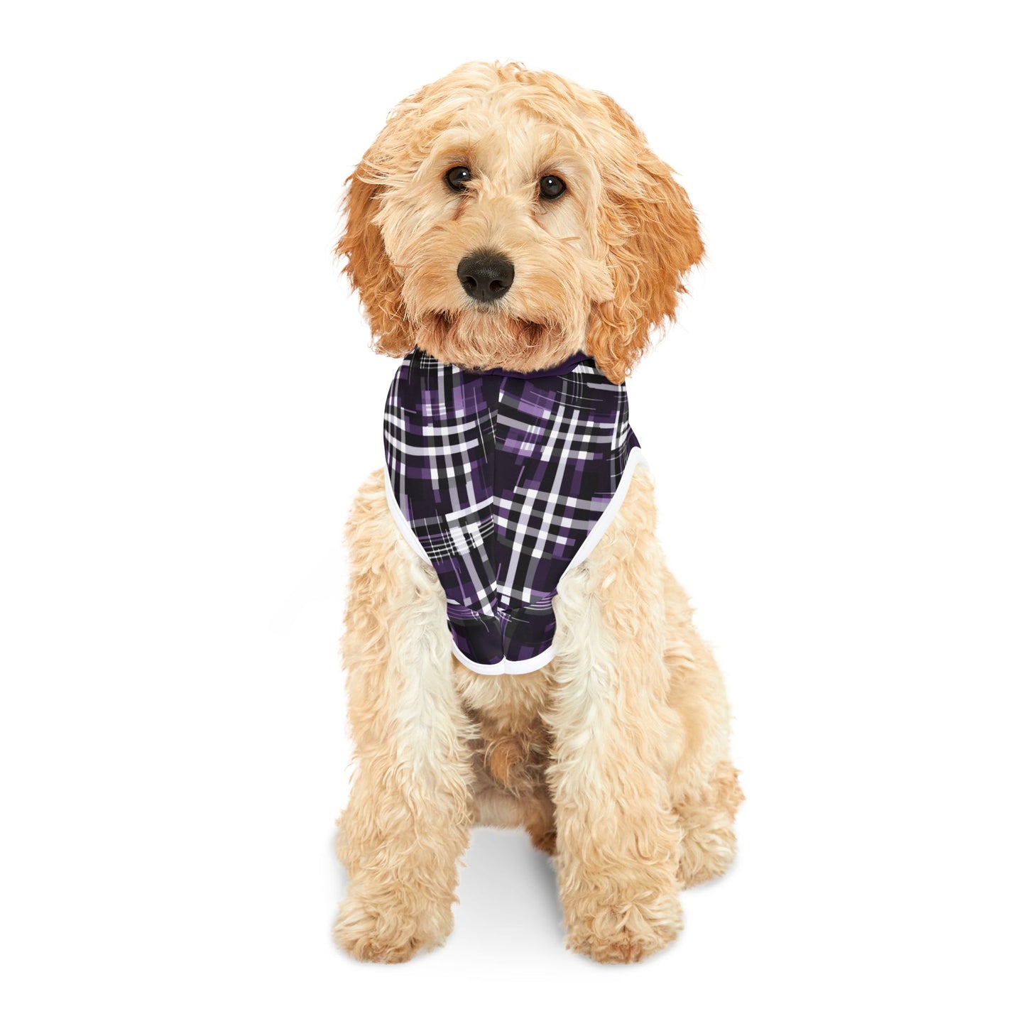 Sassy Pet's Talk to the Paw Pet Hoodie - Stylish Warmth for Fashionable Pets
