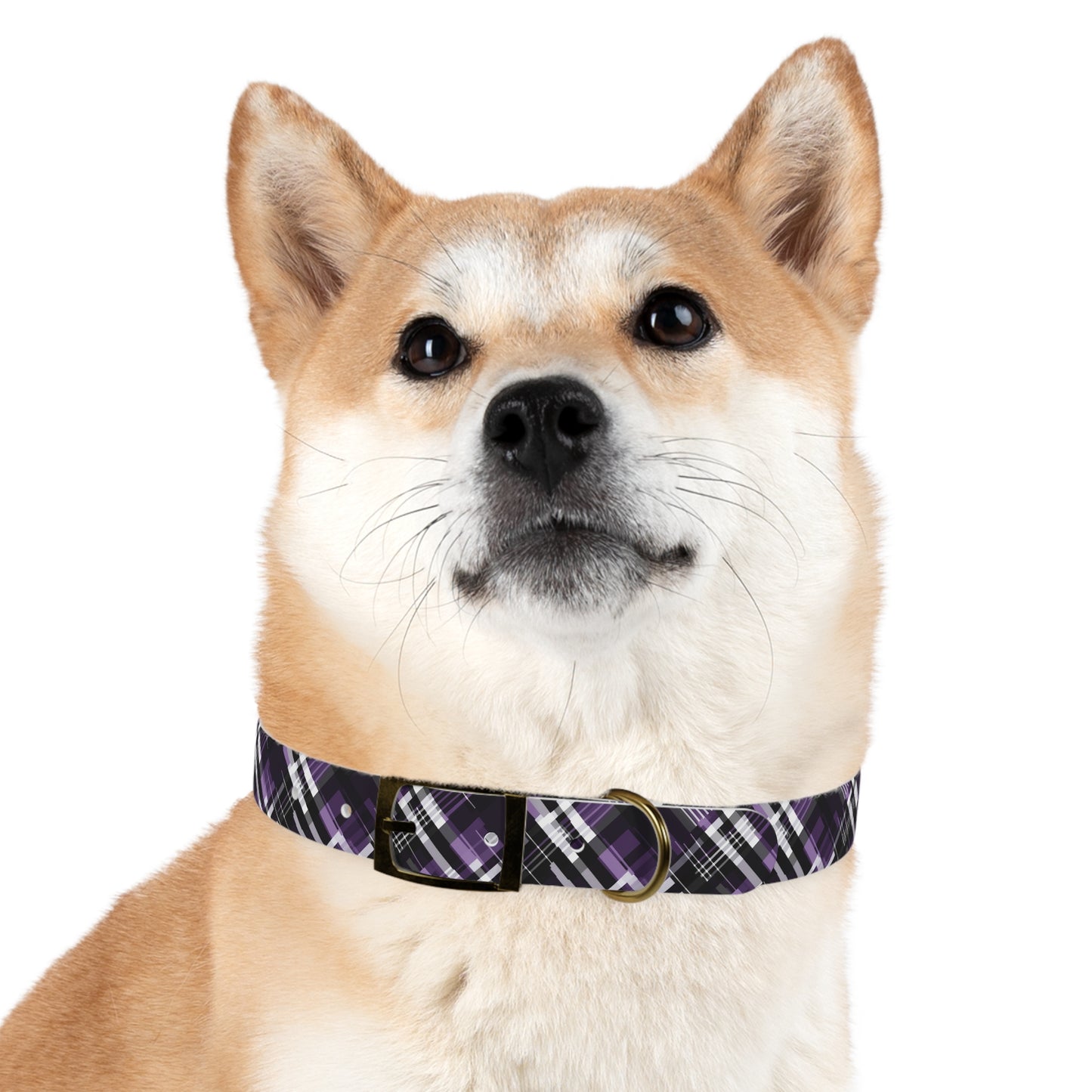 Sassy Pet's Purple, Black & White Plaid Leash Collar