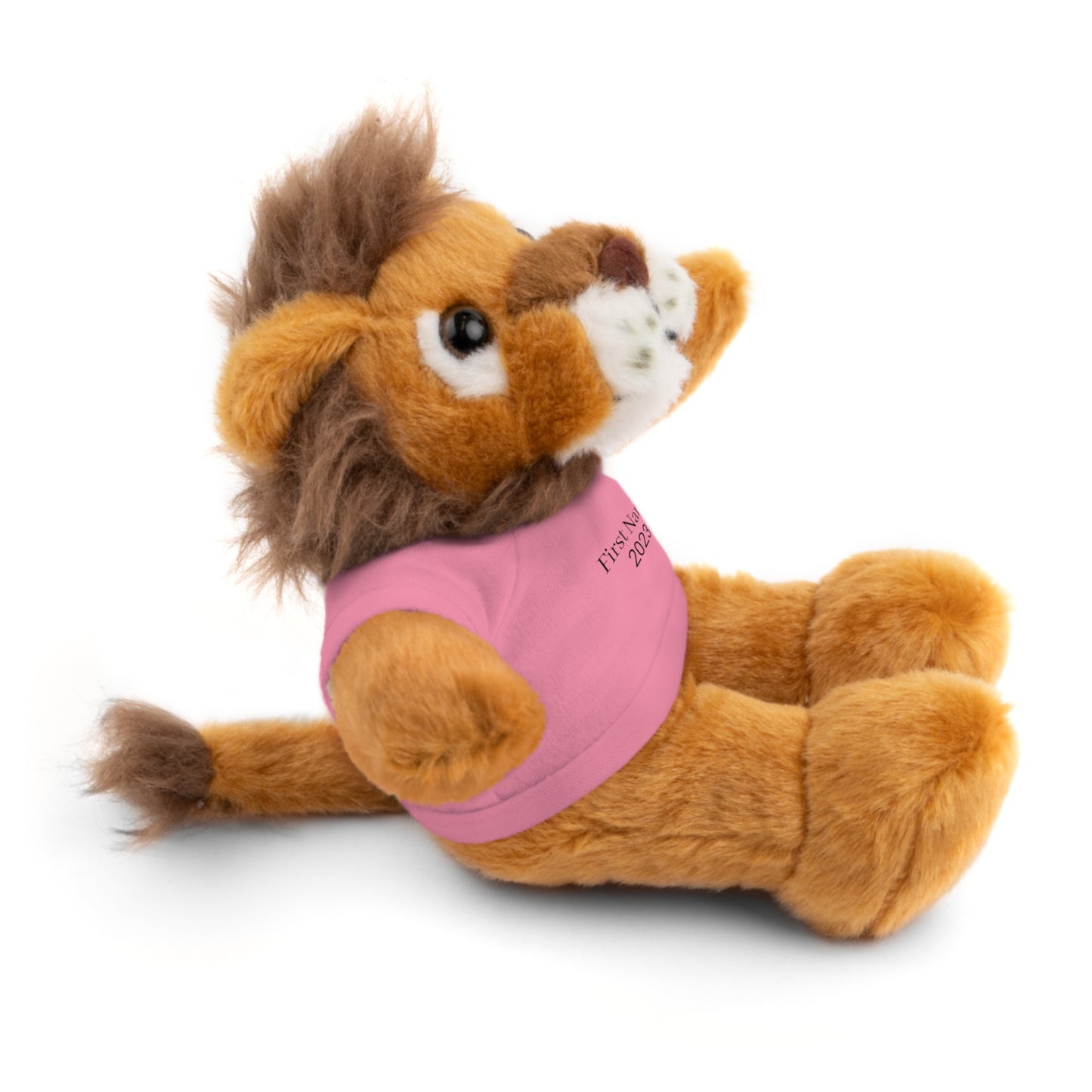 Personalized Stuffed Animals with Tee