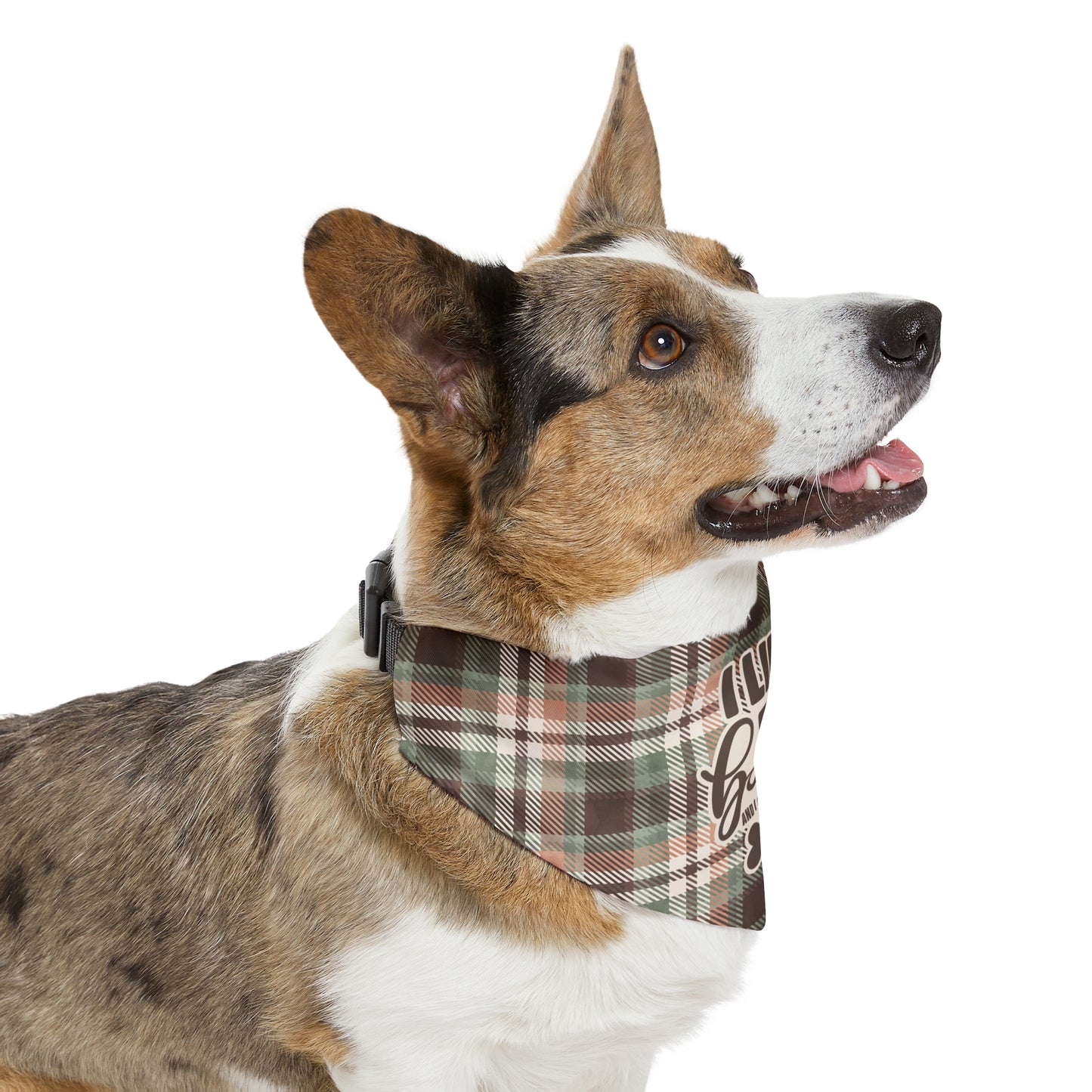 Sassy Pet's I Like Big Bones Pet Bandana Collar