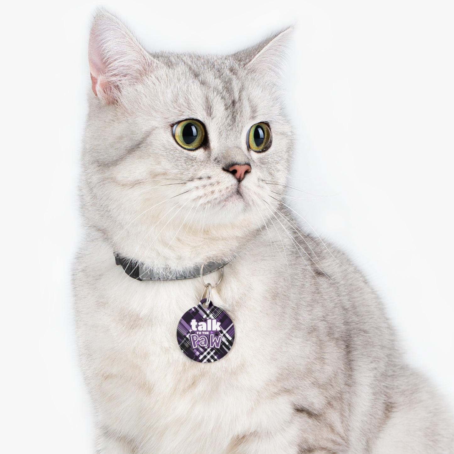 Sassy Pet's Talk to the Personalized Paw Pet Tag