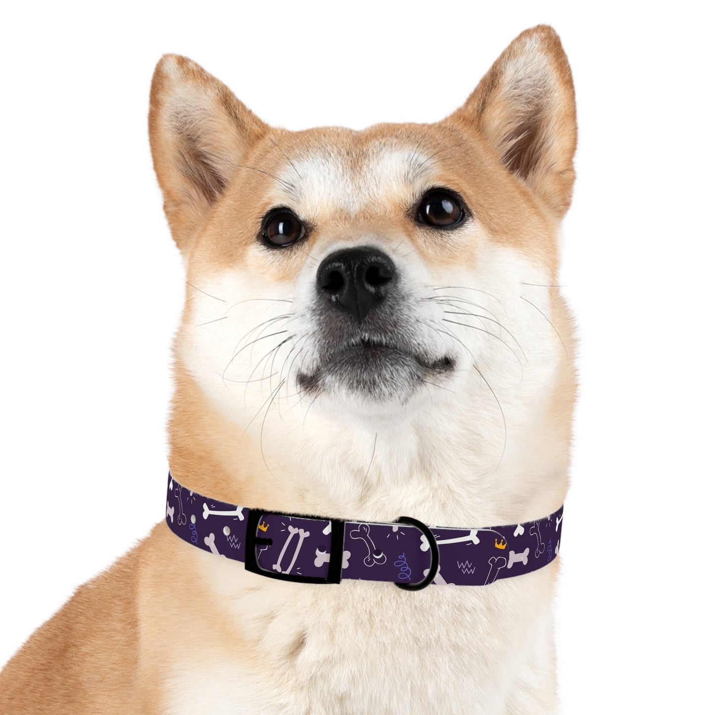 Sassy Pet's Big Bones Purple Collar
