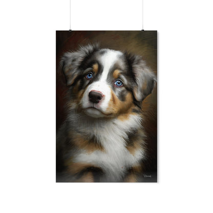 Australian Shepherd Puppy Premium Matte Vertical Posters