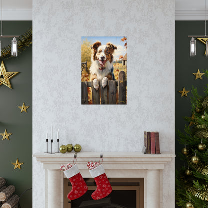 Australian shepherd in the Country Premium Matte Vertical Posters