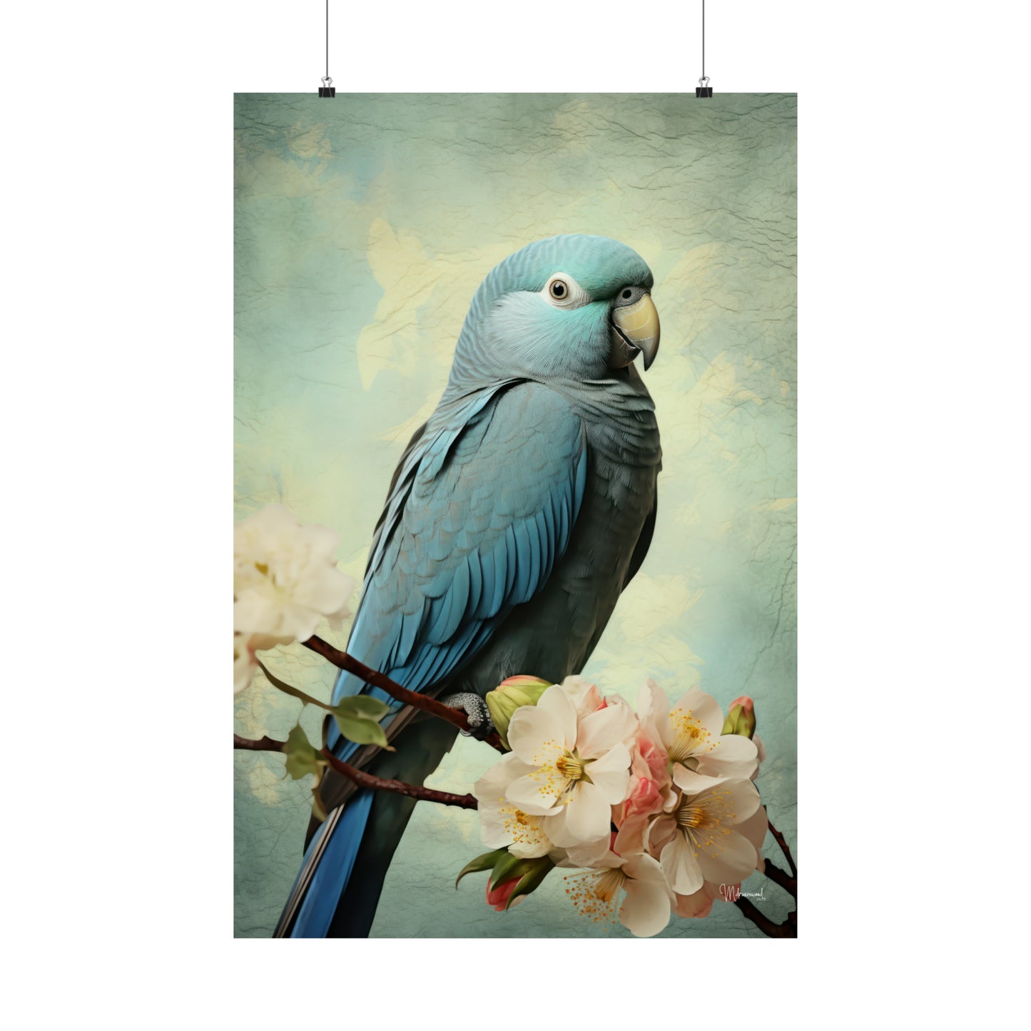 Blue Quaker Parrot Premium Matte Vertical Posters