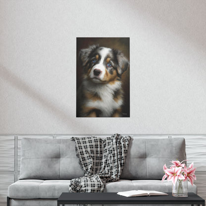 Australian Shepherd Puppy Premium Matte Vertical Posters