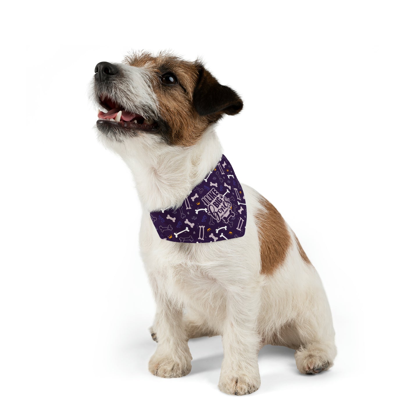 Sassy Pet's I Like Big Bones Purple Pet Bandana Collar