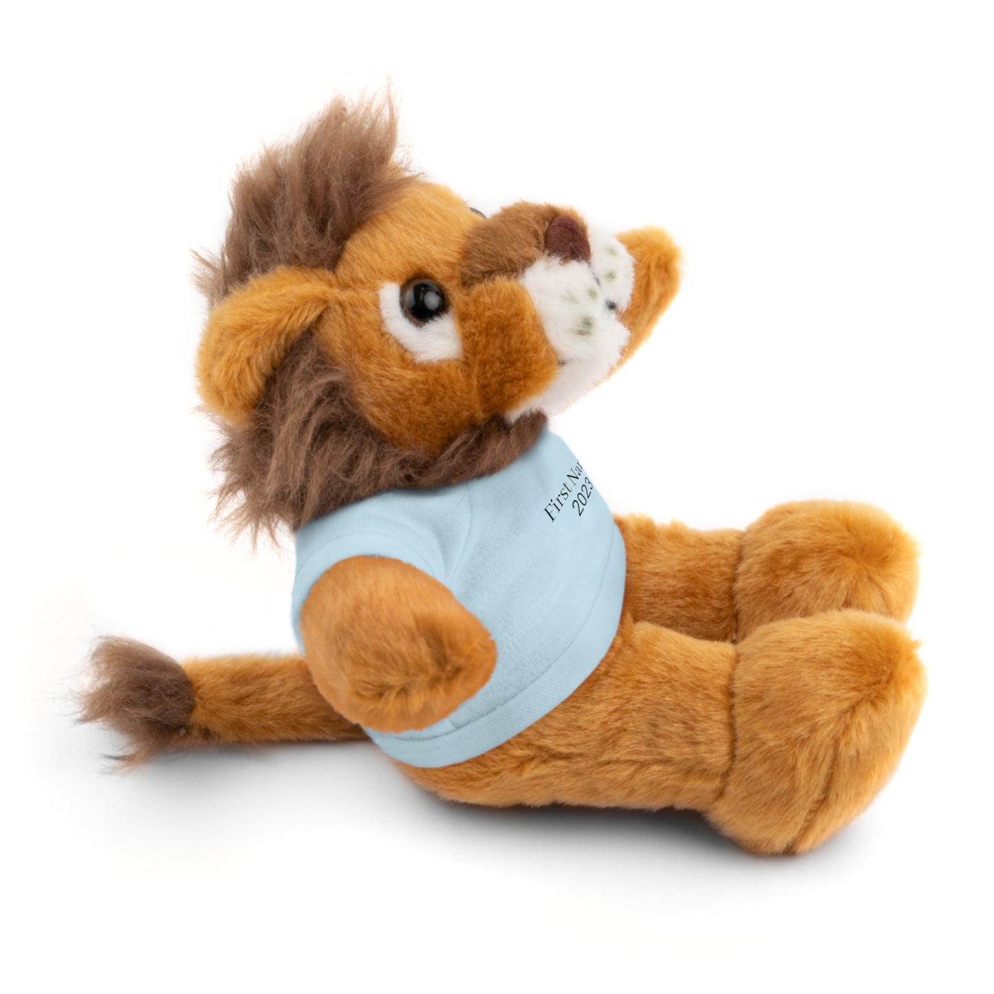 Personalized Stuffed Animals with Tee