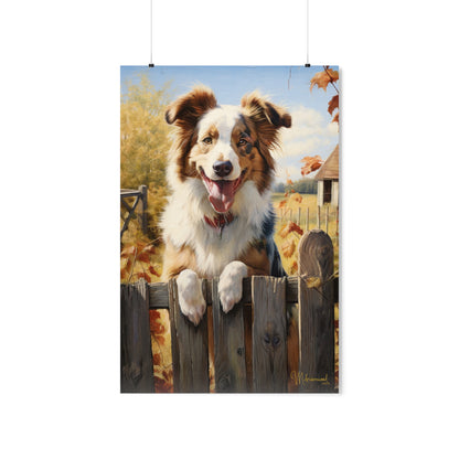 Australian shepherd in the Country Premium Matte Vertical Posters