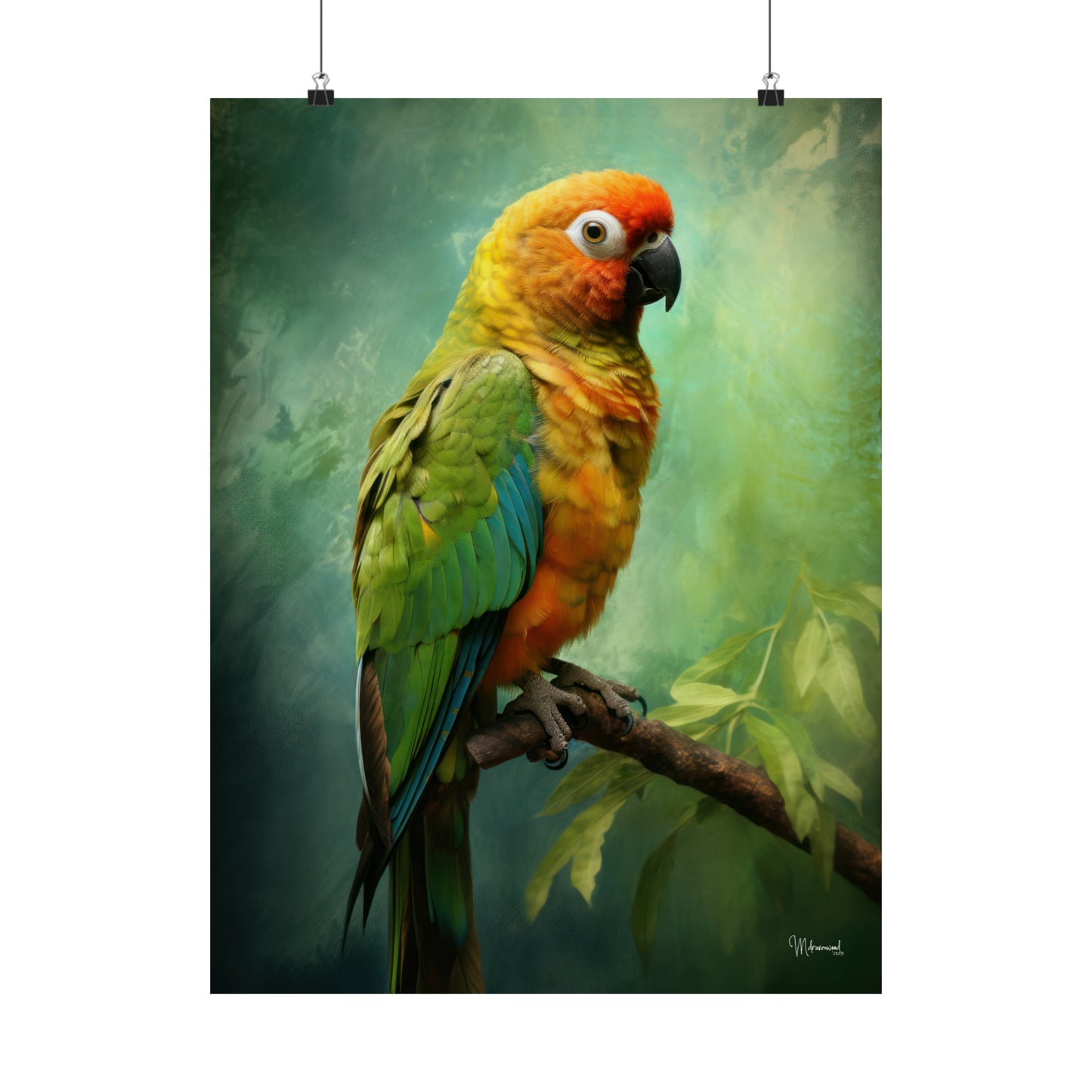 Conure Premium Matte Vertical Posters