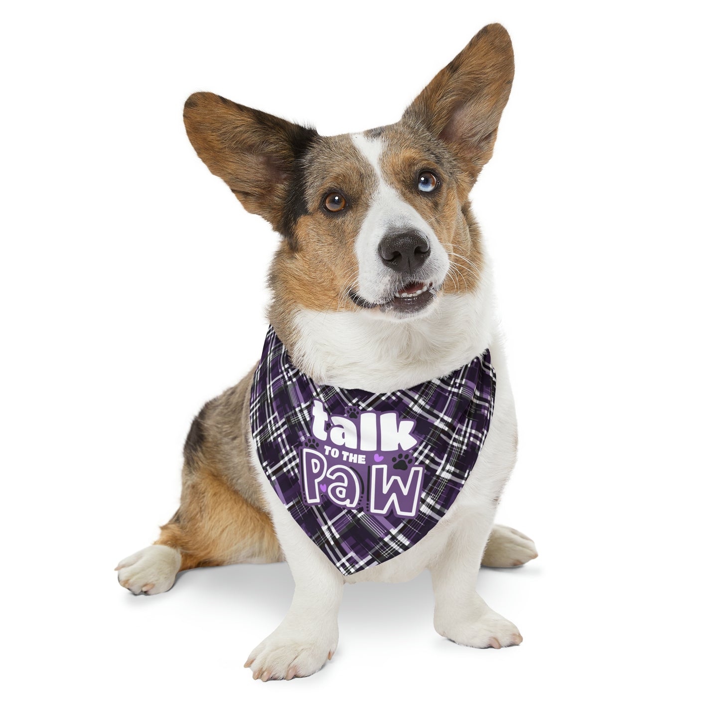 Sassy Pet's Talk to the Paw Pet Bandana Collar