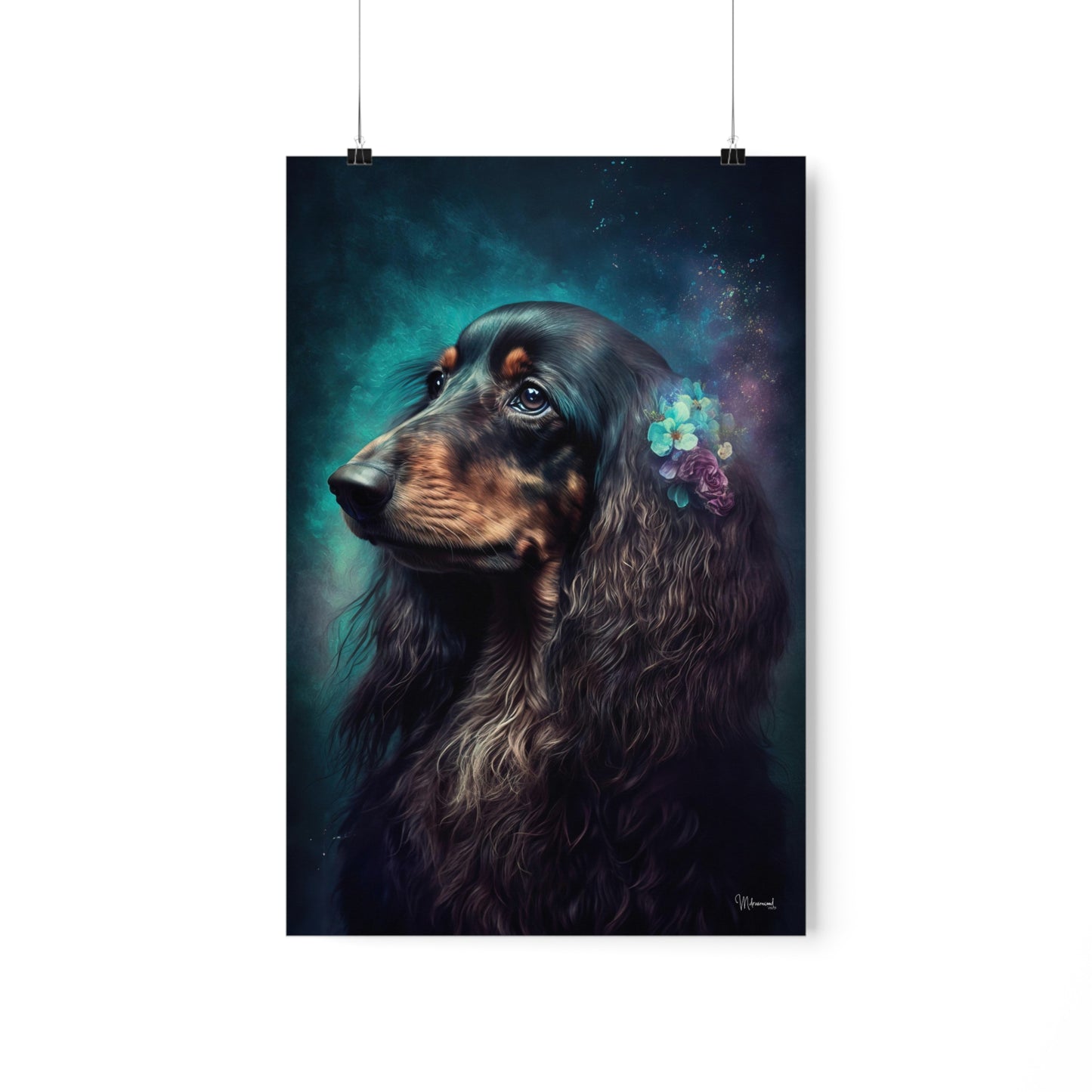 Long Haired Dachshund Dog Premium Matte Vertical Posters