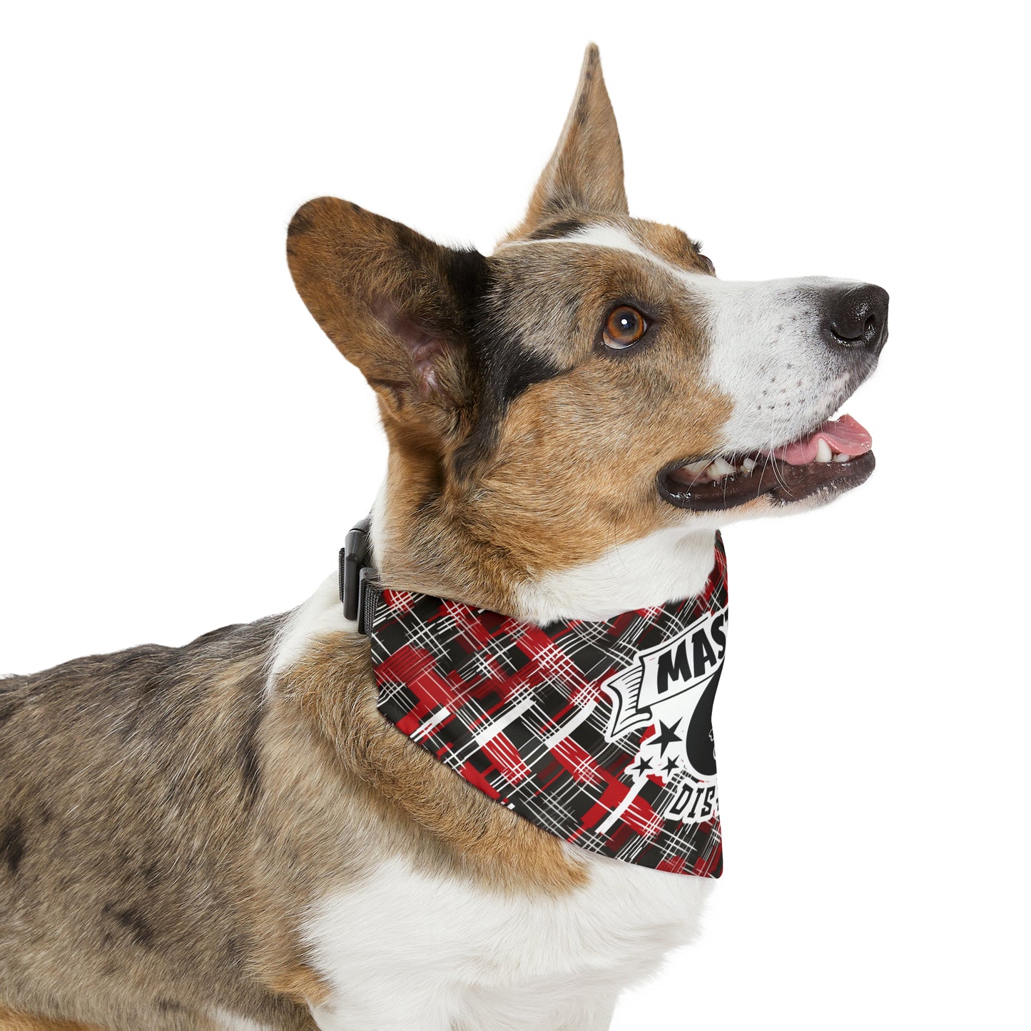 Sassy Pet's Master of Disaster Pet Bandana Collar