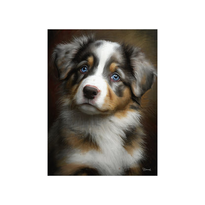 Australian Shepherd Puppy Premium Matte Vertical Posters