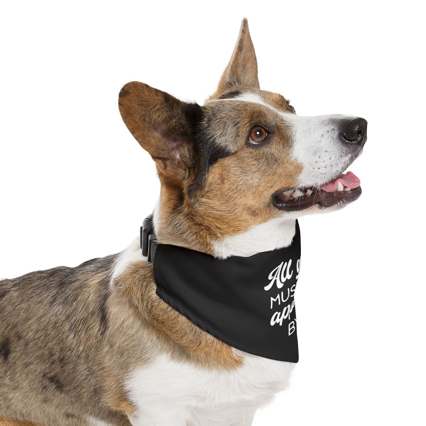 Copy of Sassy Pet's Bandana Collar - All Guests Must Be Approved By Me