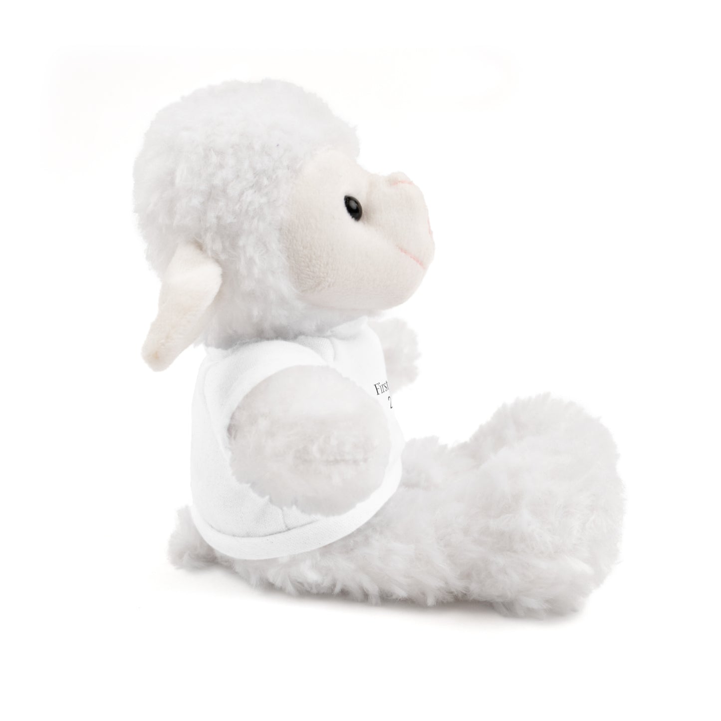 Personalized Stuffed Animals with Tee