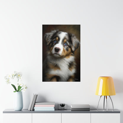 Australian Shepherd Puppy Premium Matte Vertical Posters