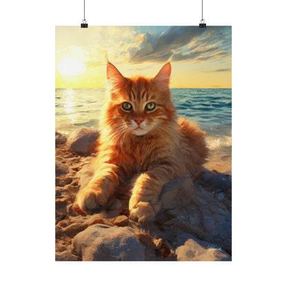 Tabby Cat on a Sunset Beach Premium Matte Vertical Posters