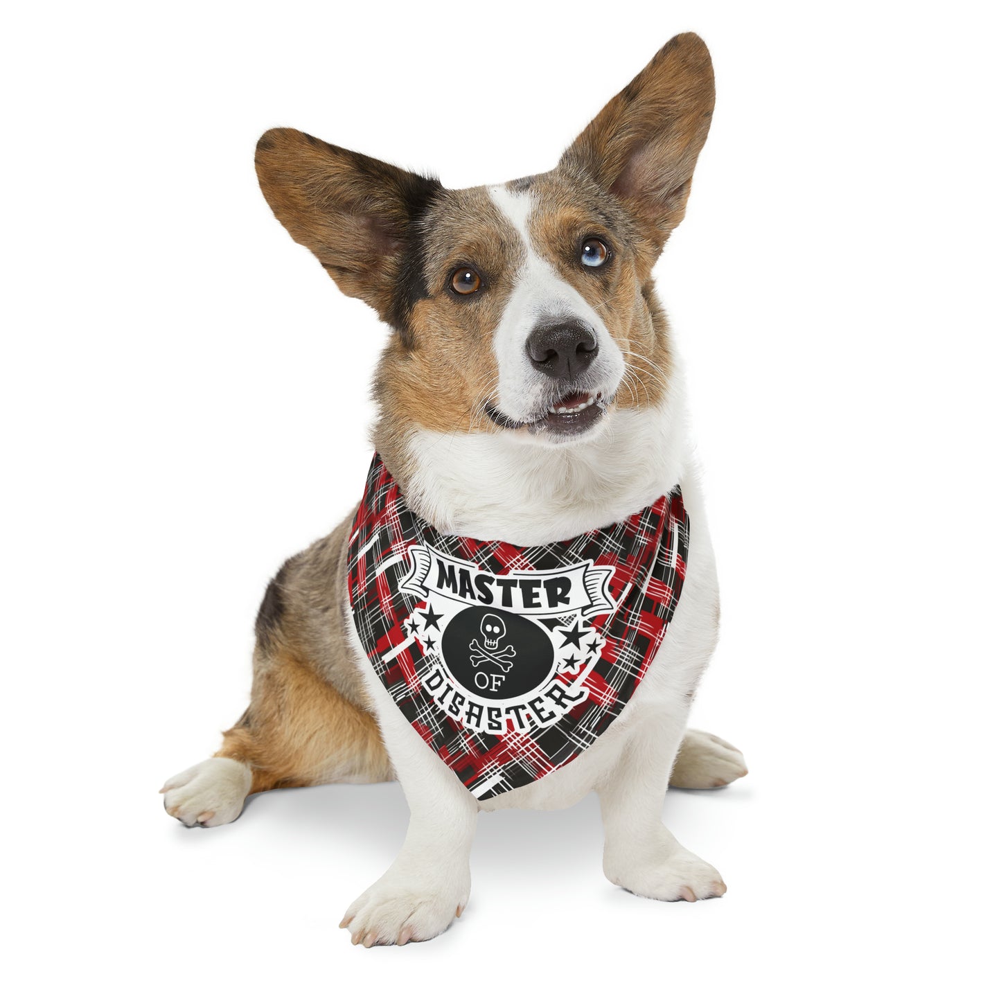 Sassy Pet's Master of Disaster Pet Bandana Collar