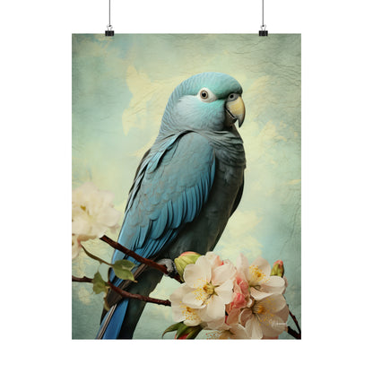 Blue Quaker Parrot Premium Matte Vertical Posters