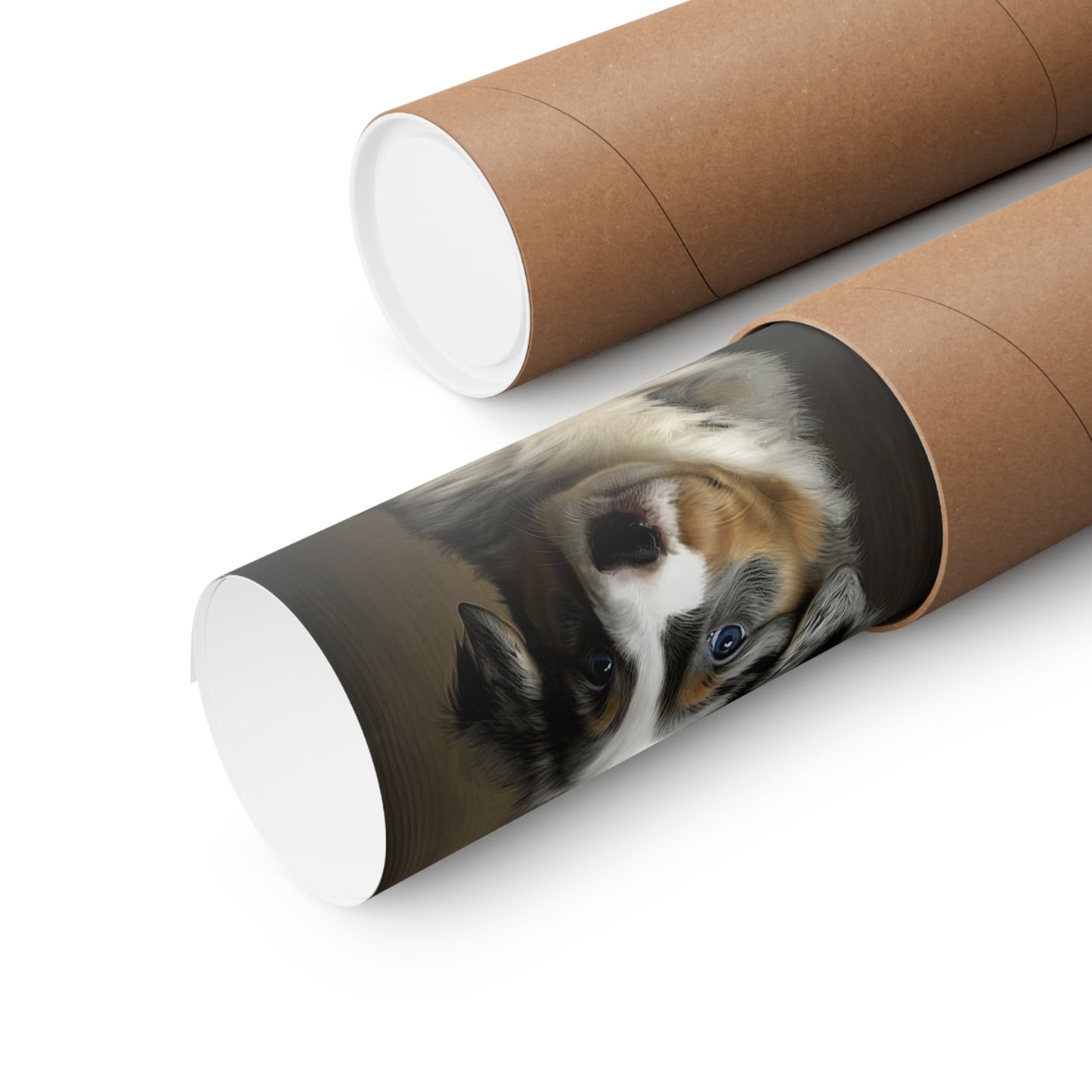 Australian Shepherd Puppy Premium Matte Vertical Posters