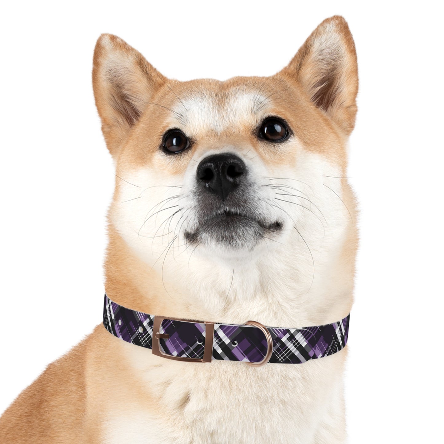 Sassy Pet's Purple, Black & White Plaid Leash Collar