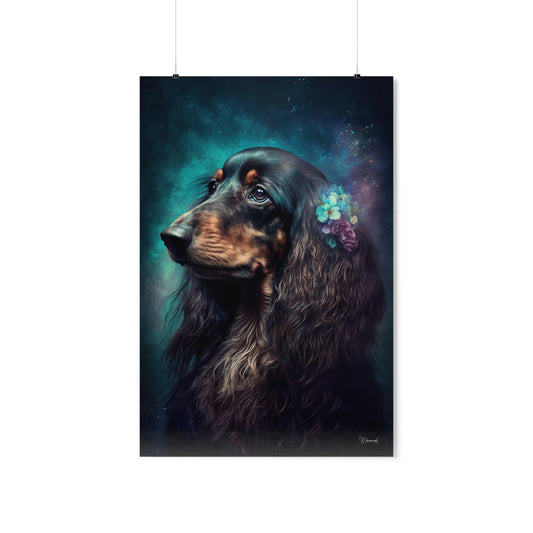 Long Haired Dachshund Dog Premium Matte Vertical Posters