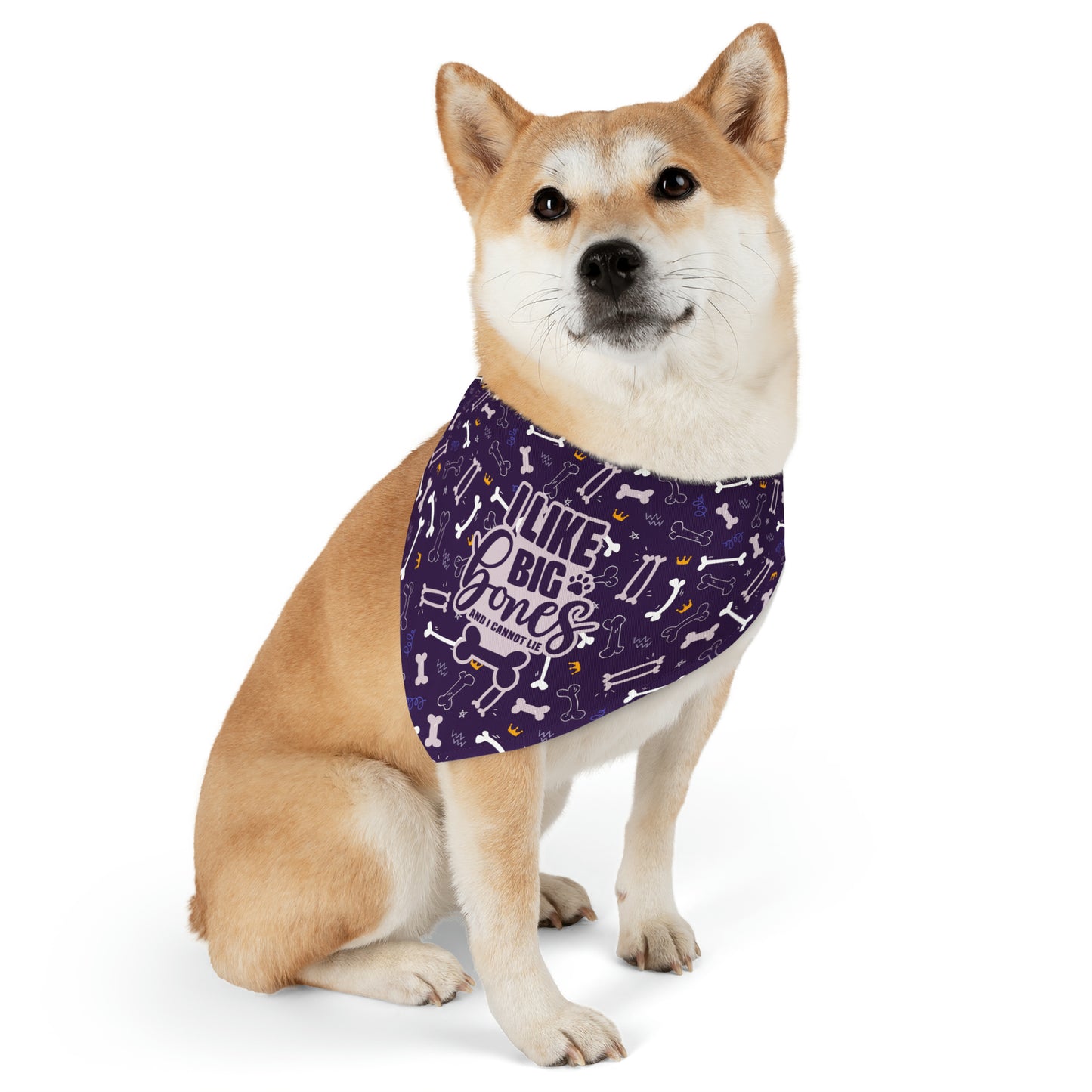 Sassy Pet's I Like Big Bones Purple Pet Bandana Collar