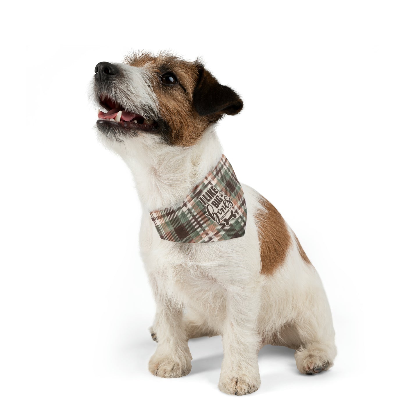 Sassy Pet's I Like Big Bones Pet Bandana Collar