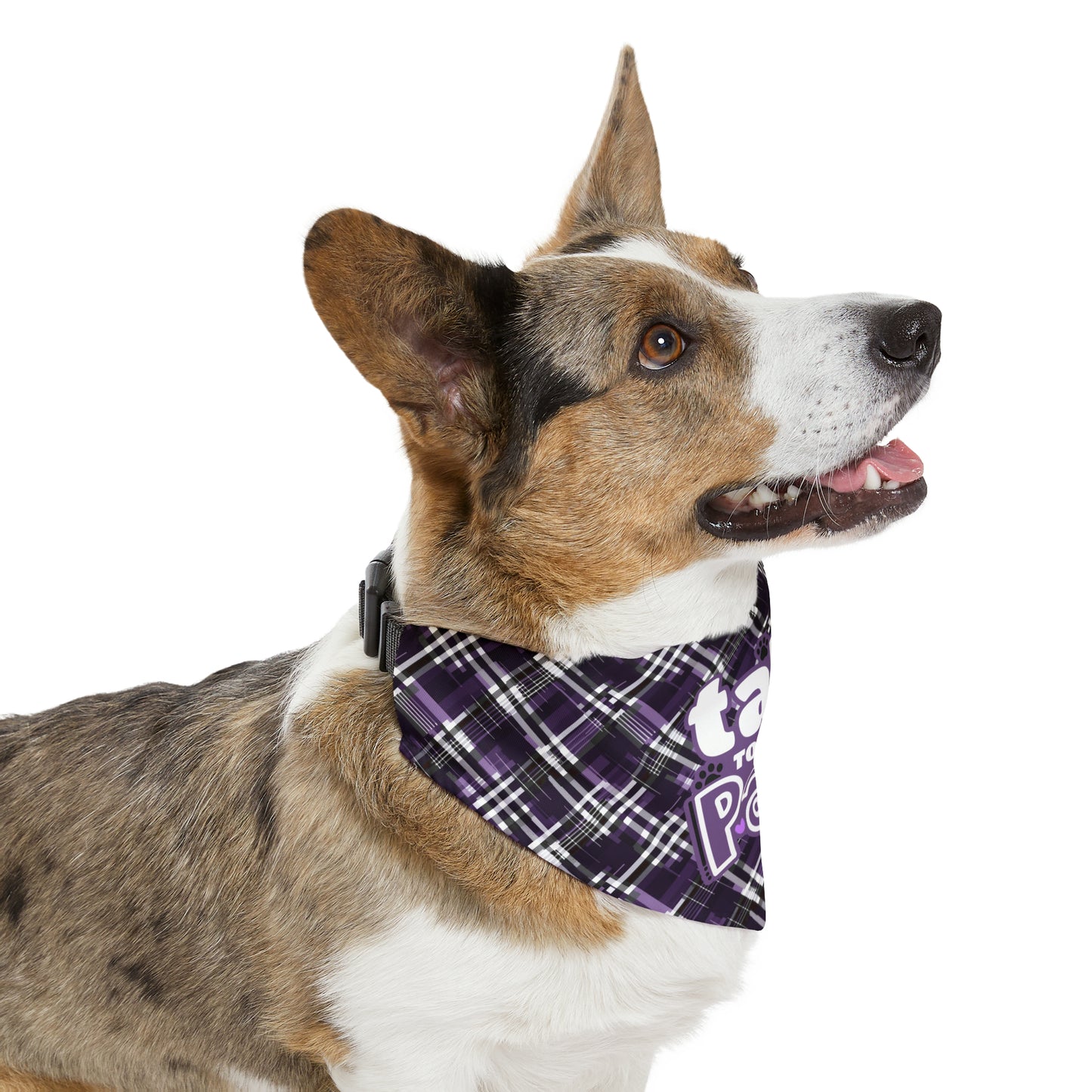 Sassy Pet's Talk to the Paw Pet Bandana Collar