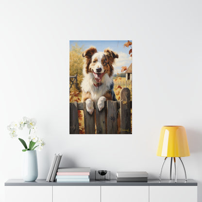 Australian shepherd in the Country Premium Matte Vertical Posters