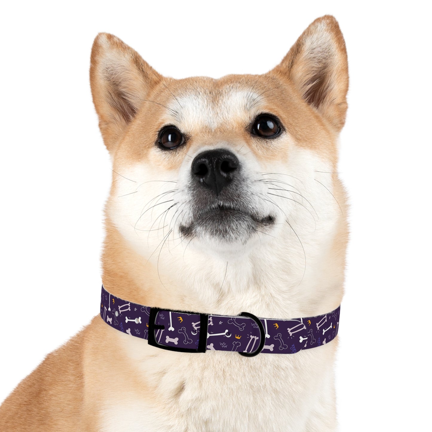 Sassy Pet's Purple Bones Collar