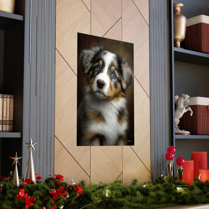 Australian Shepherd Puppy Premium Matte Vertical Posters