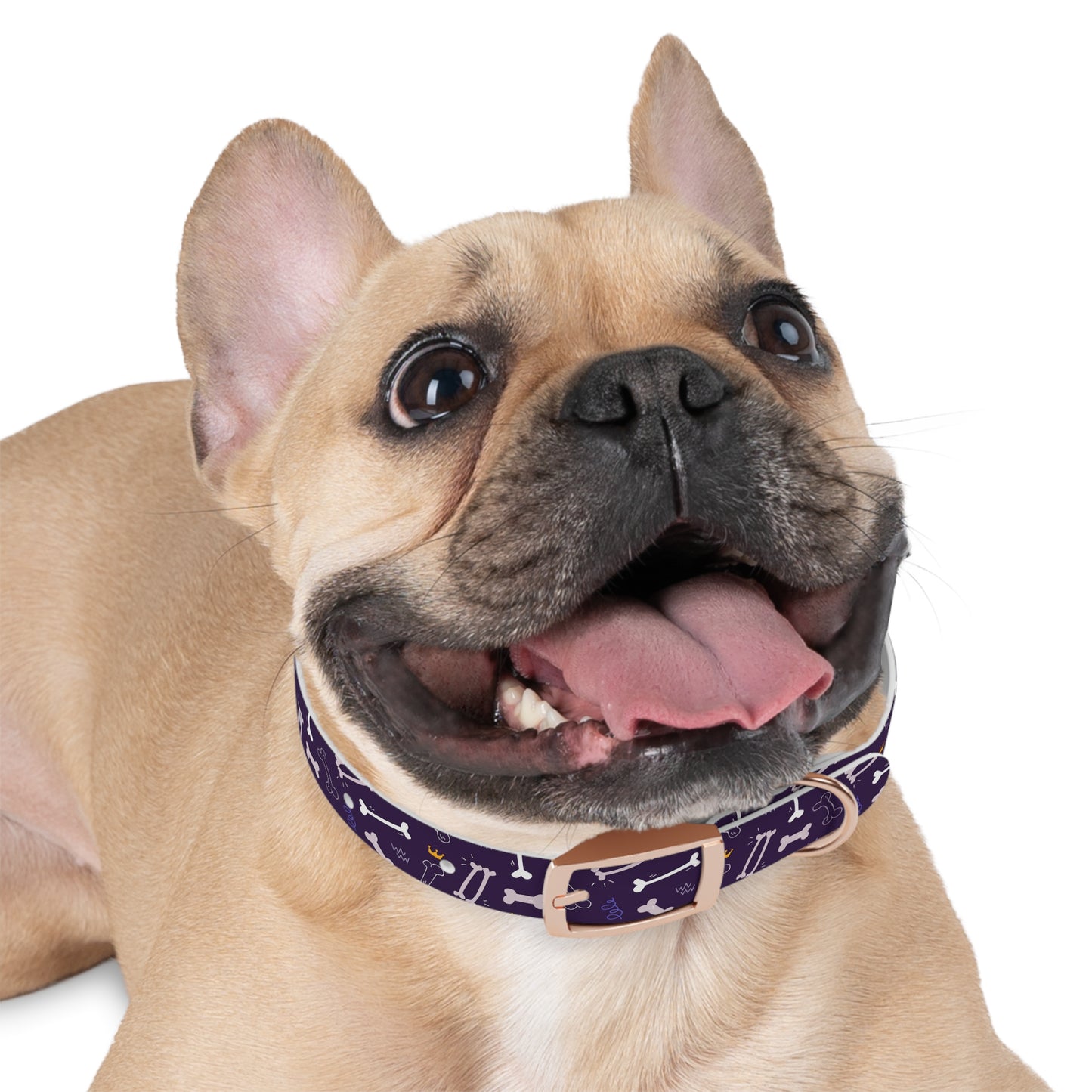 Sassy Pet's Purple Bones Collar