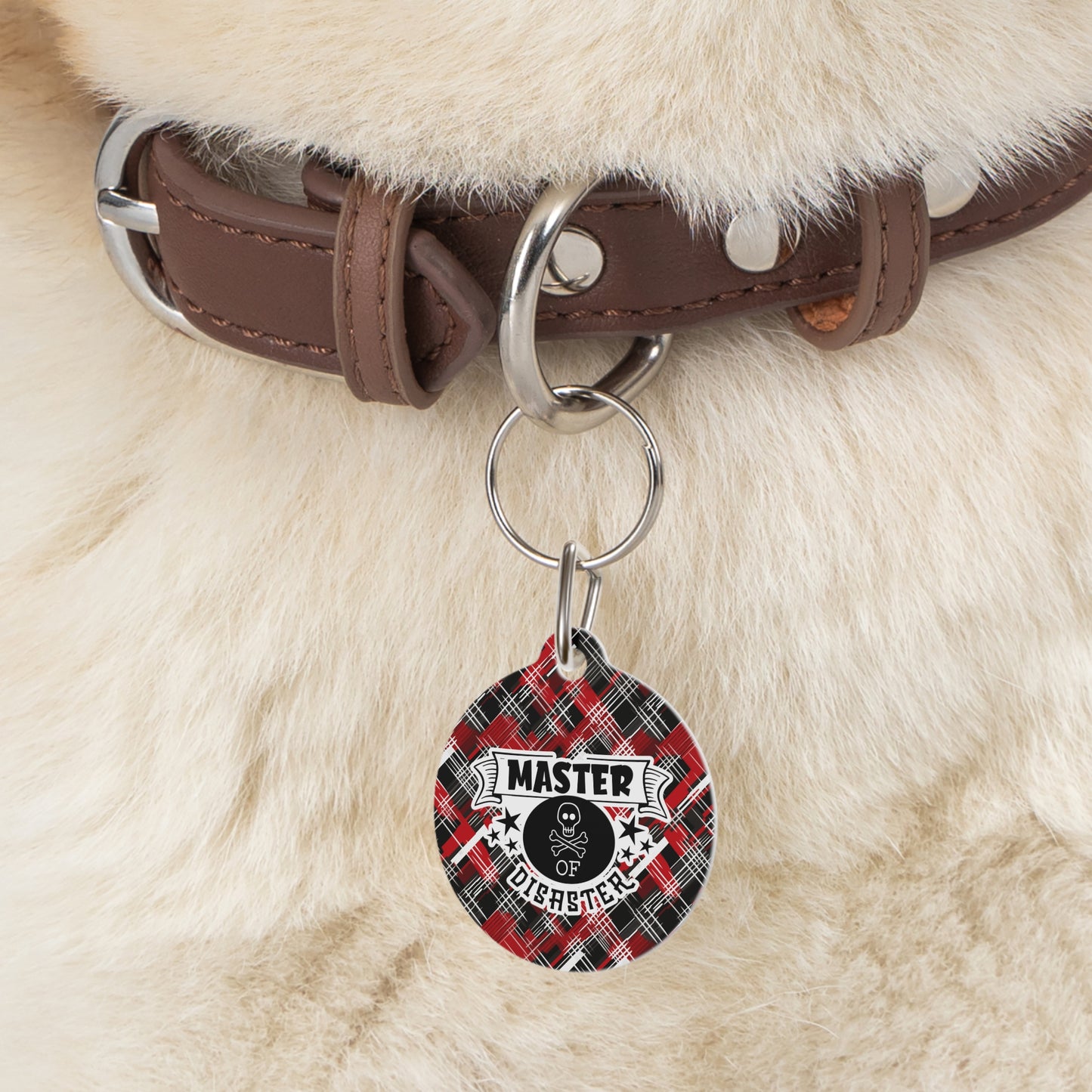 Sassy Pet's Master of Disaster Personalized Pet Tag