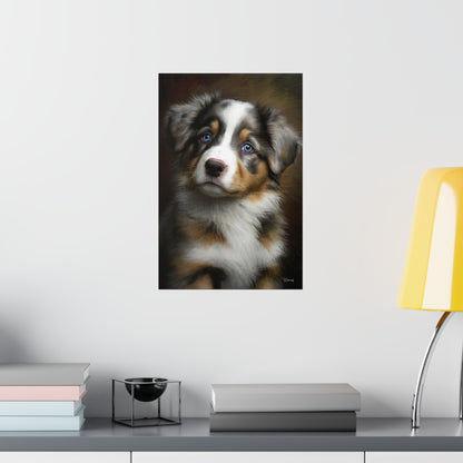 Australian Shepherd Puppy Premium Matte Vertical Posters