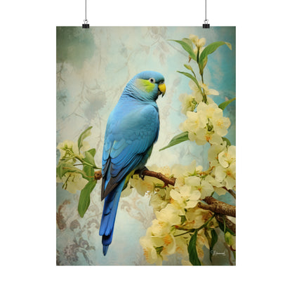 Blue/Green Quaker Parrot Premium Matte Vertical Posters