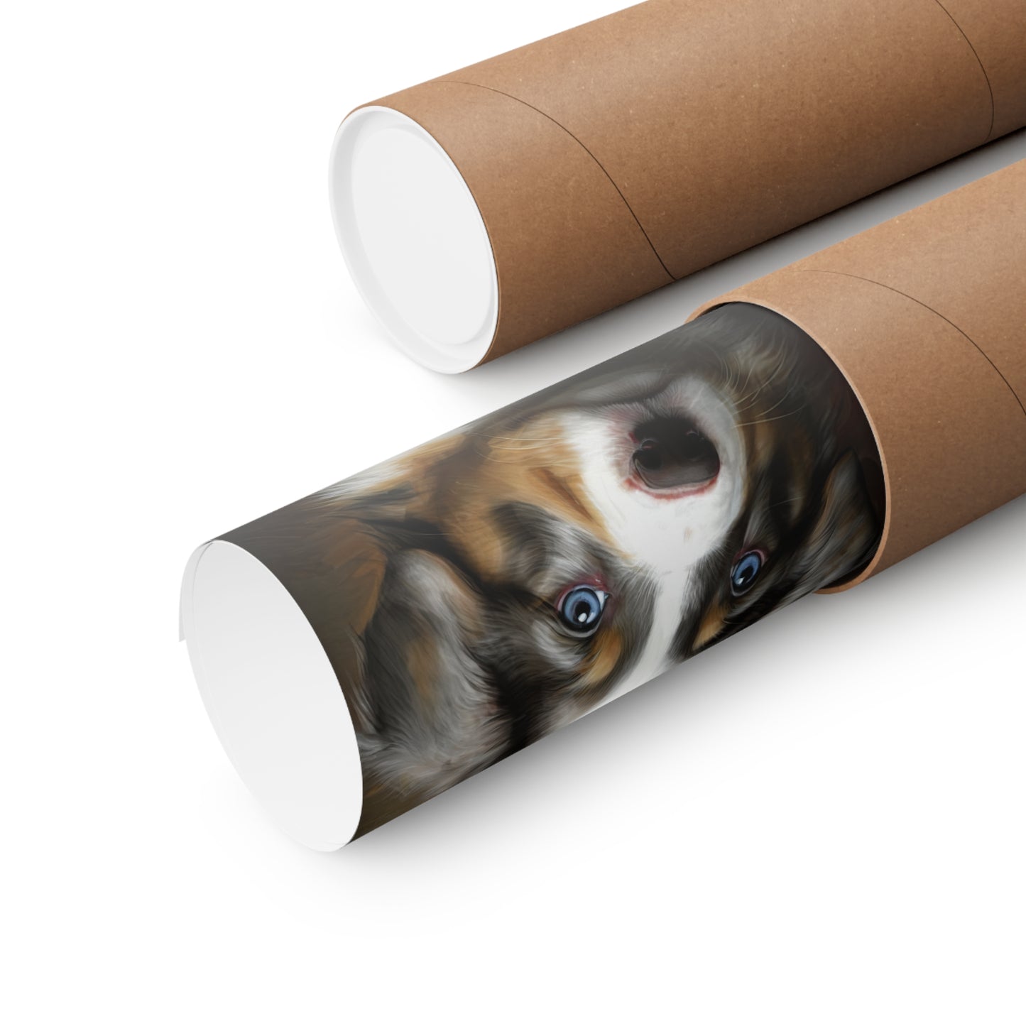 Australian Shepherd Puppy Premium Matte Vertical Posters