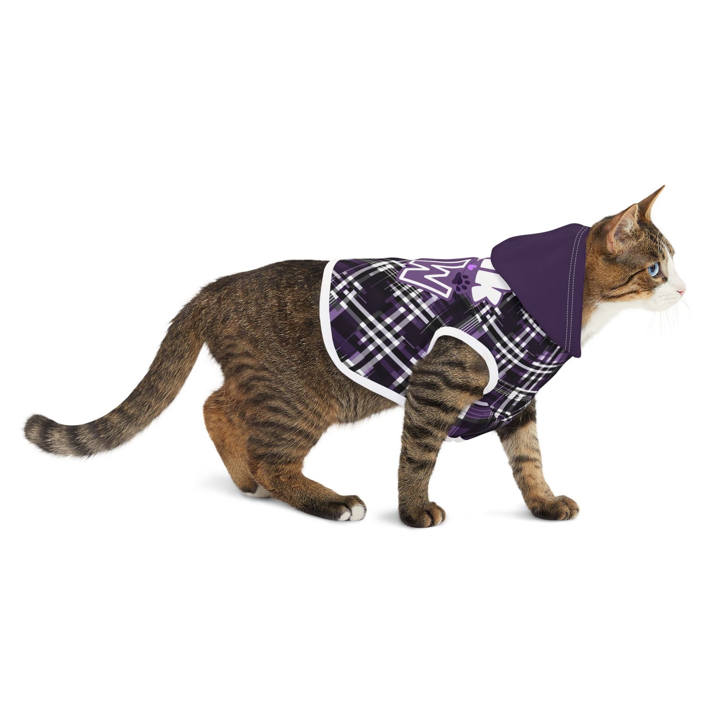 Sassy Pet's Talk to the Paw Pet Hoodie - Stylish Warmth for Fashionable Pets