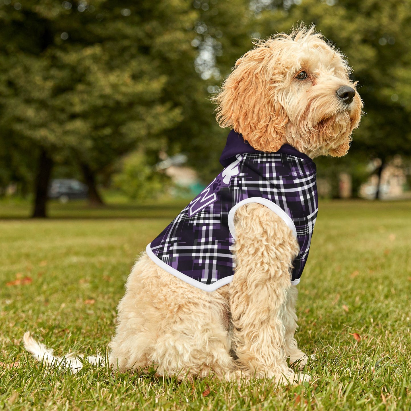 Sassy Pet's Talk to the Paw Pet Hoodie - Stylish Warmth for Fashionable Pets