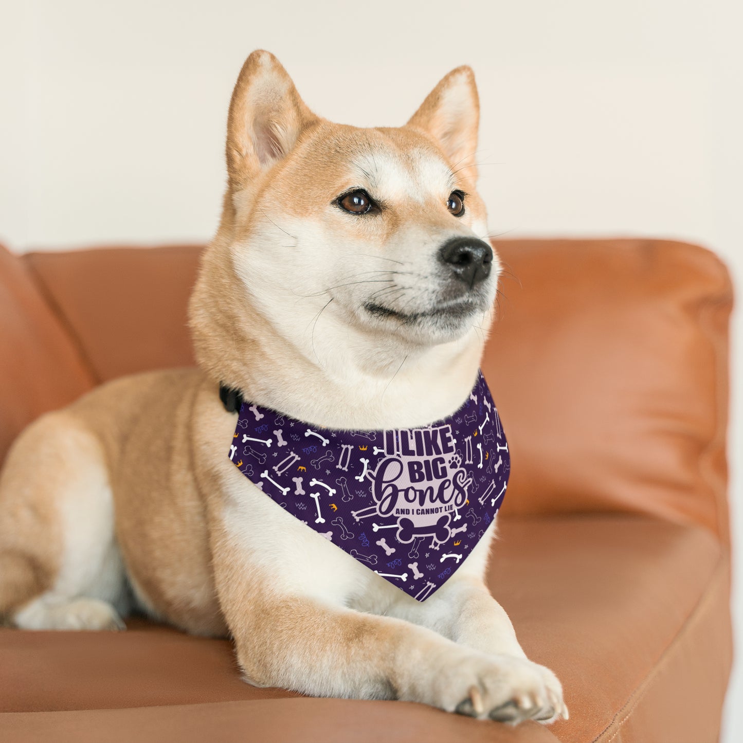 Sassy Pet's I Like Big Bones Purple Pet Bandana Collar