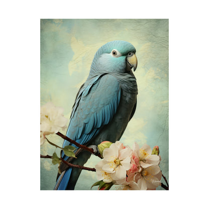 Blue Quaker Parrot Premium Matte Vertical Posters