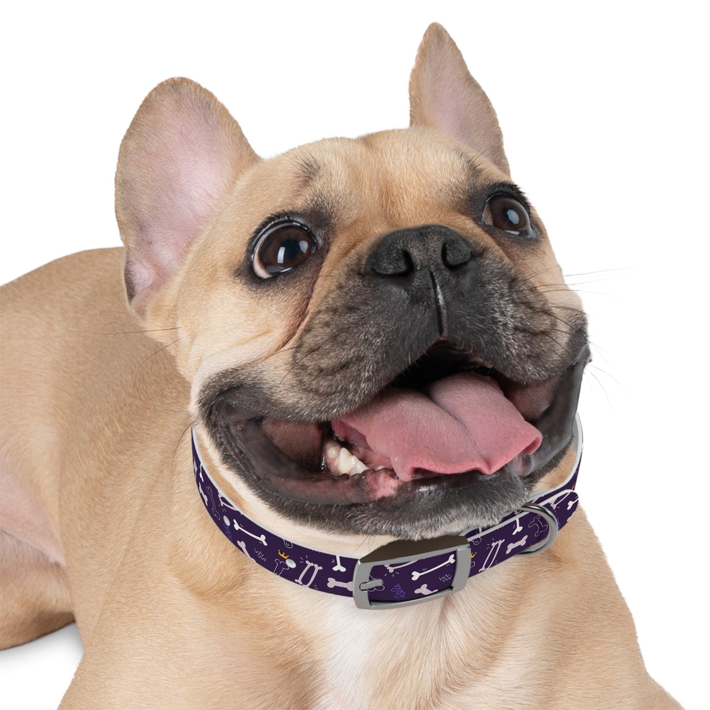 Sassy Pet's Purple Bones Collar