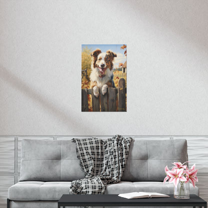 Australian shepherd in the Country Premium Matte Vertical Posters